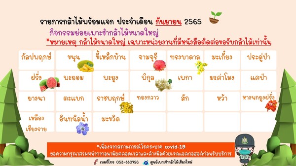 แจกกล้าพันธุ์ไม้ขนาดใหญ่.jpg