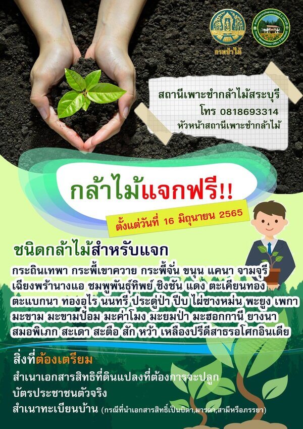 กล้าไม้แจกฟรี.jpg