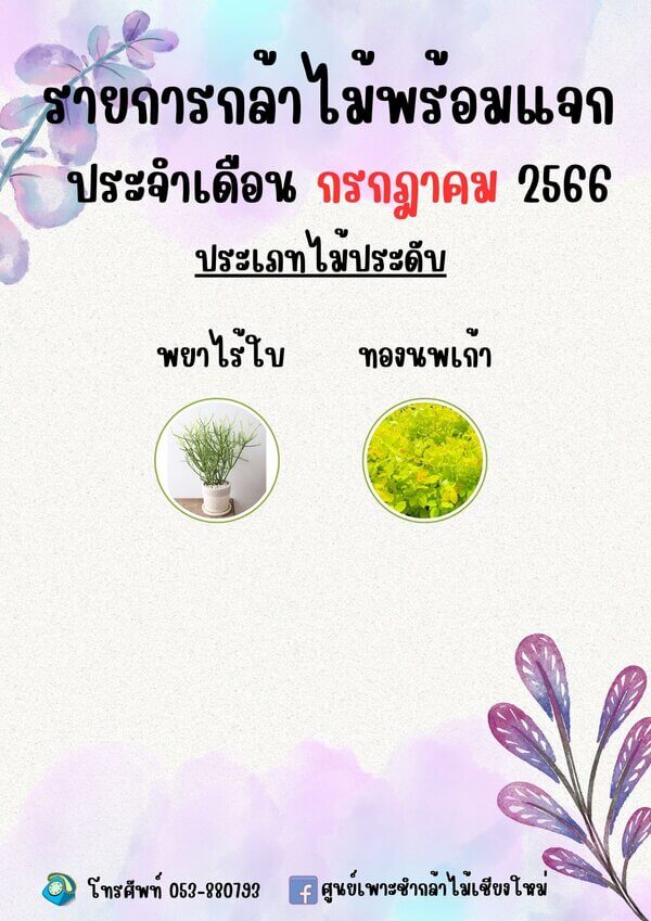 กล้าไม้ ประเภทประดับ.jpg