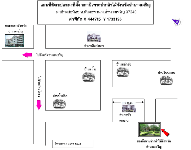 สถานีเพาะชำกล้าไม้จังหวัดอำนาจเจริญ.png