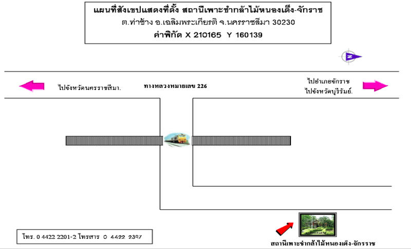 สถานีเพาะชำกล้าไม้หนองเต็ง-จักราช.png