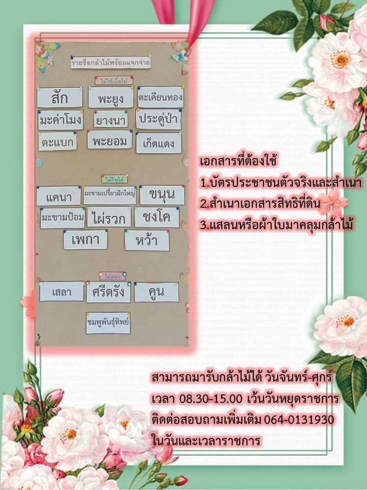 ศูนย์แจกกล้าพันธุ์ไม้จังหวัดเพชรบูรณ์-พันธุ์ที่แจก.jpg