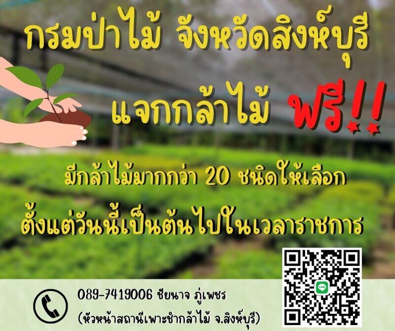 แจกกล้าพันธุ์จังหวัดสิงห์บุรี.jpg