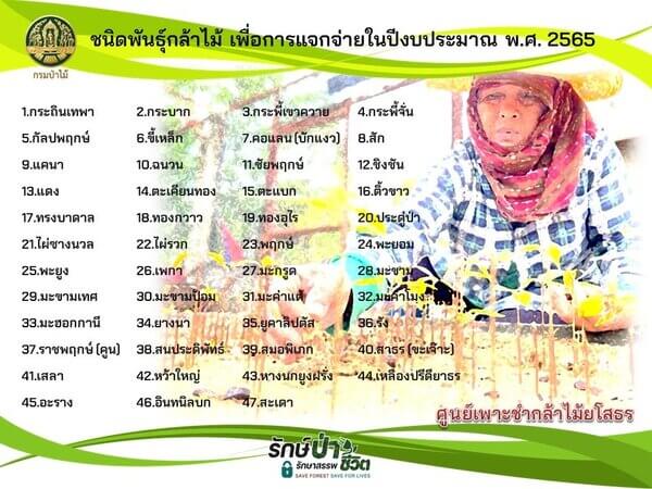 ชนิดกล้าพันธุ์ไม้ที่แจก.jpg