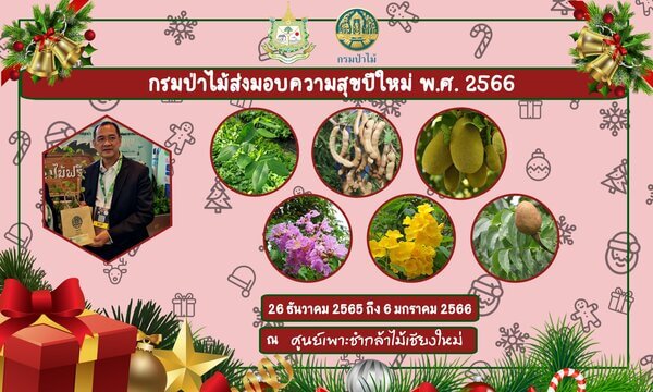 แจกกล้าพันธุ์ไม้ 2566.jpg