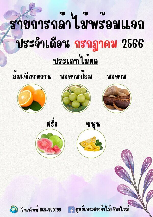 กล้าไม้ ประเภทไม้ผล.jpg