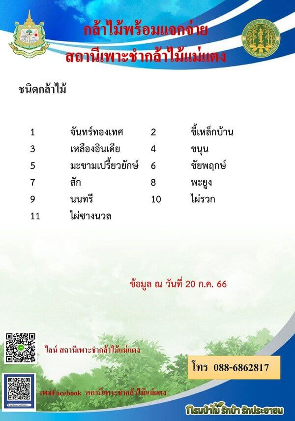 กล้าไม้ กรกฎาคม 2566.jpg