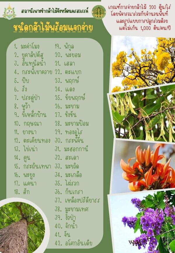 พันธุ์กล้าไม้ 1.jpg