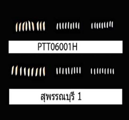 กขผ1-2.jpg