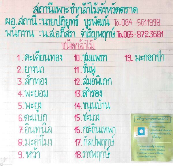 แจกกล้าพันธุ์ไม้จังหวัดตราด เดือน เมษายน 2567.jpg