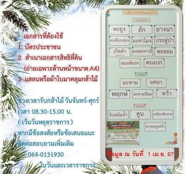 แจกกล้าพันธุ์ไม้ เดือน เมษายน 2567.jpg