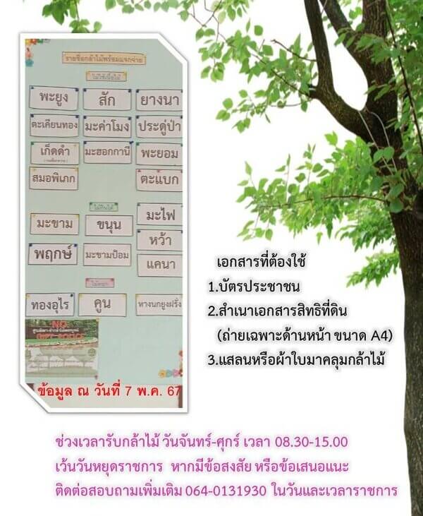 แจกกล้าพันธุ์ไม้เดือน พฤษภาคม 2567.jpg