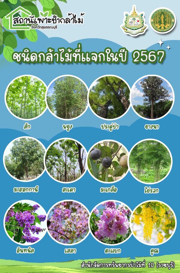 ชนิดต้นไม้ที่แจก.jpg