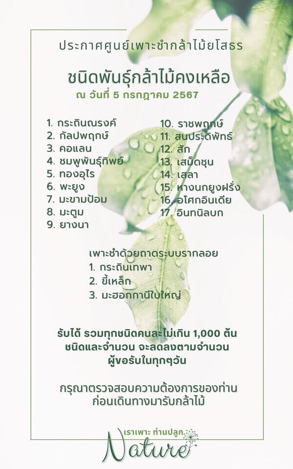 แจกกล้าพันธุ์ไม้ยโสธร.jpg