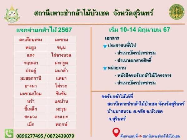 แจกกล้าพันธุ์ไม้บัวเชด สุรินทร์.jpg
