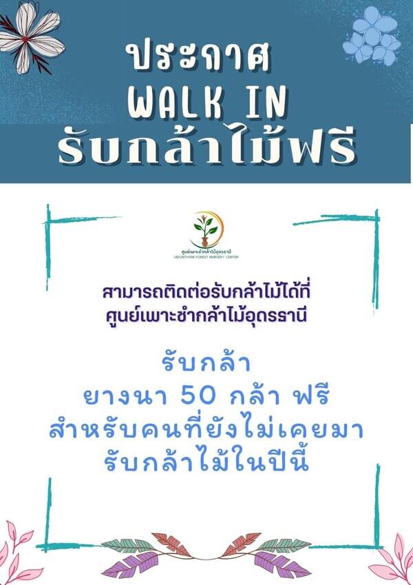 แจกกล้ายางนาจังหวัดอุดรธานี.jpg