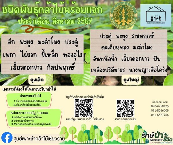 แจกกล้าพันธุ์ไม้อำเภอแม่จัน จังหวัดเชียงราย.jpg