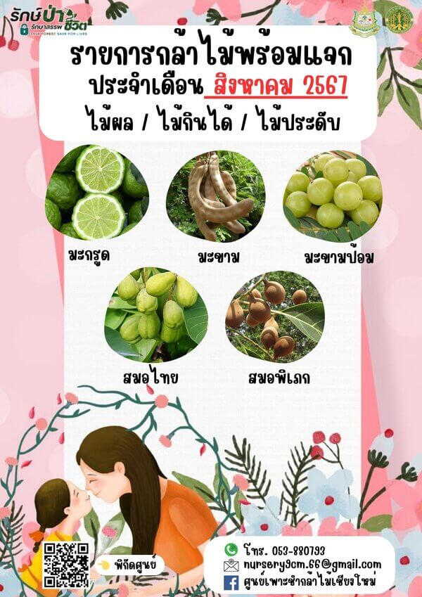แจกกล้าพันธุ์ไม้อำเภอแม่ออน จังหวัดเชียงใหม่-3.jpg