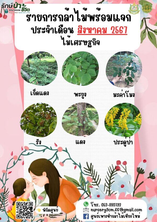 แจกกล้าพันธุ์ไม้อำเภอแม่ออน จังหวัดเชียงใหม่-1.jpg