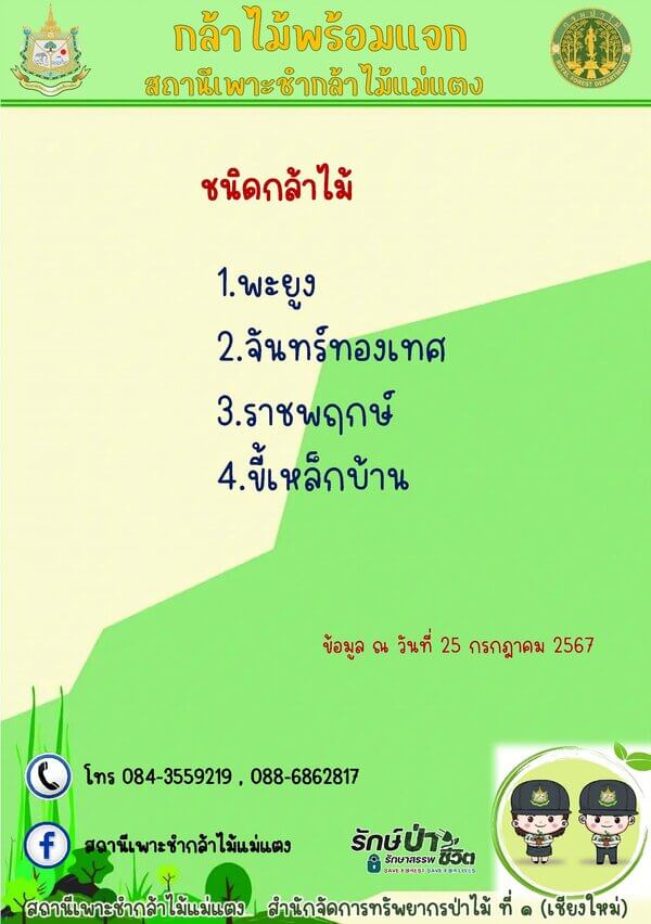 แจกกล้าพันธุ์ไม้แม่แตง เชียงใหม่.jpg