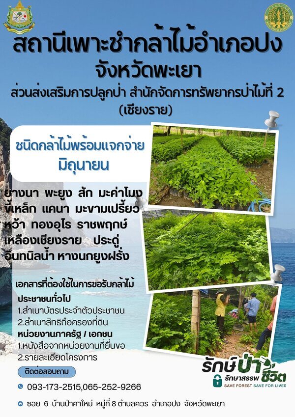 แจกกล้าพันธุ์ไม้อำเภอปง พะเยา.jpg