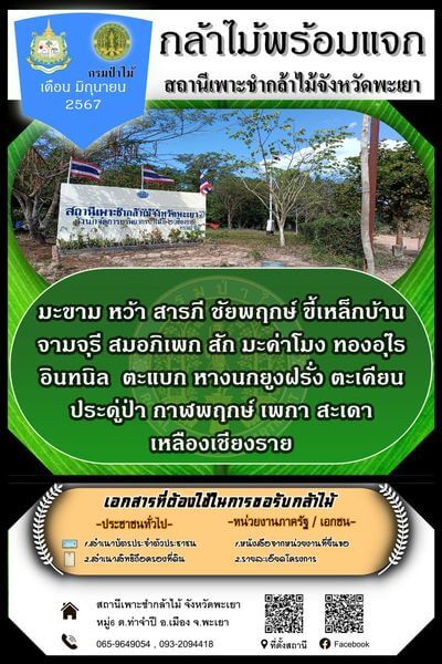 แจกกล้าพันธุ์ไม้พะเยา.jpg