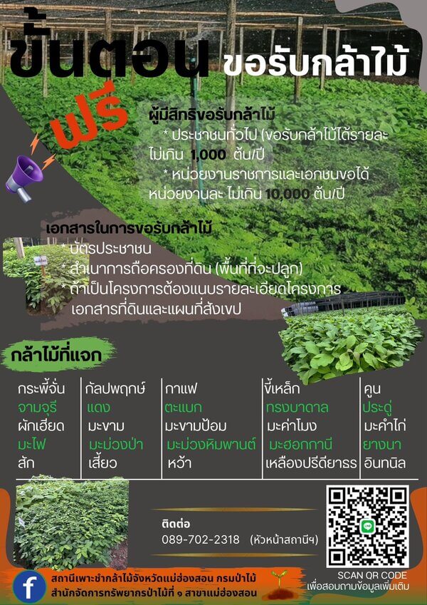 แจกกล้าพันธุ์ไม้แม่ฮ่องสอน.jpg