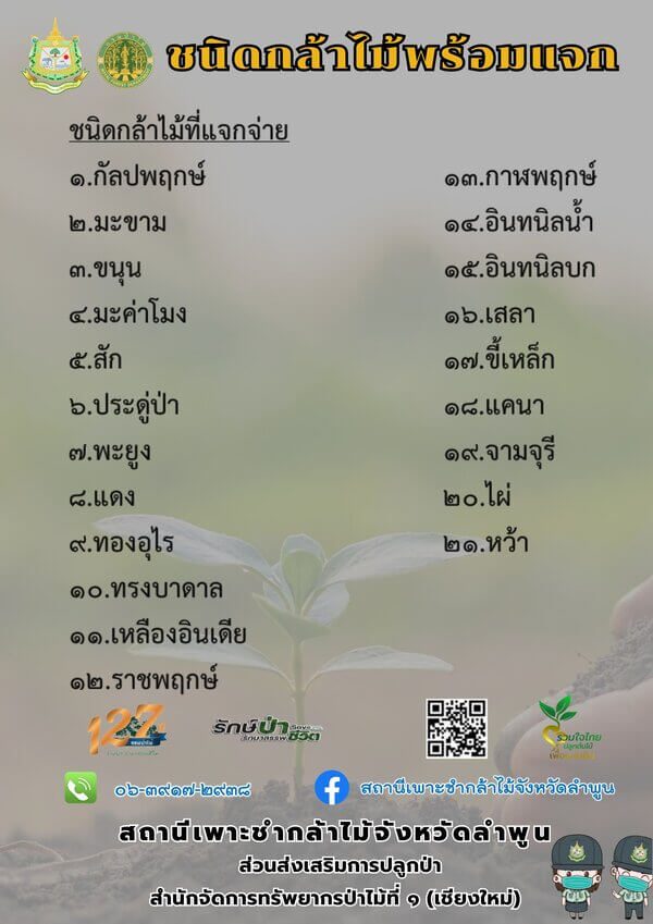 แจกกล้าพันธุ์ไม้จังหวัดลำพูน.jpg