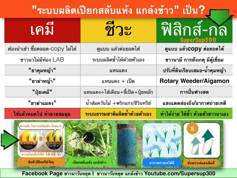 แกล้งข้าว.jpg