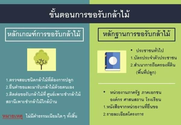 ขั้นตอนการลงทะเบียนรับกล้าไม้.jpg