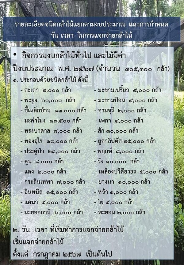 แจกกล้าพันธุ์ไม้จังหวัดพิจิตร.jpg