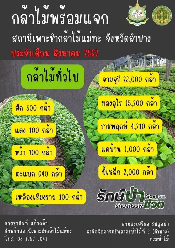 แจกกล้าพันธุ์ไม้แม่ทะ จังหวัดลำปาง.jpg