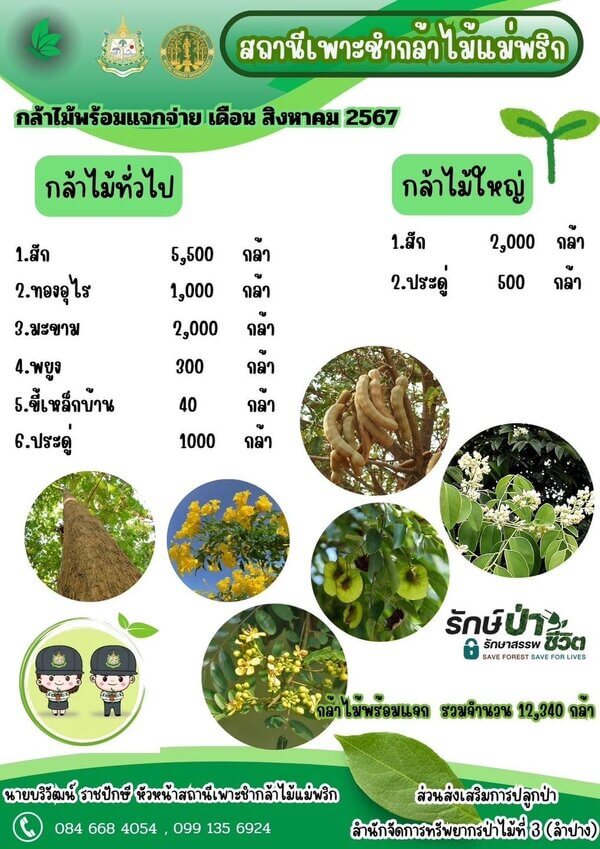 แจกกล้าพันธุ์ไม้แม่พริก จังหวัดลำปาง.jpg