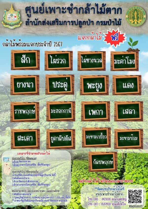 แจกกล้าไม้จังหวัดตาก.jpg