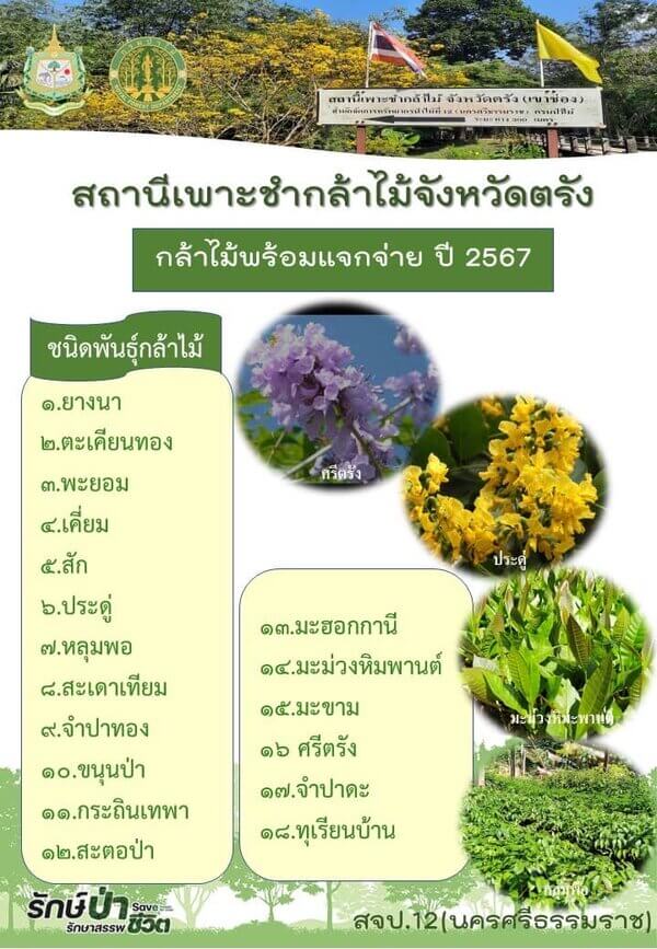 แจกกล้าไม้จังหวัดตรัง.jpg