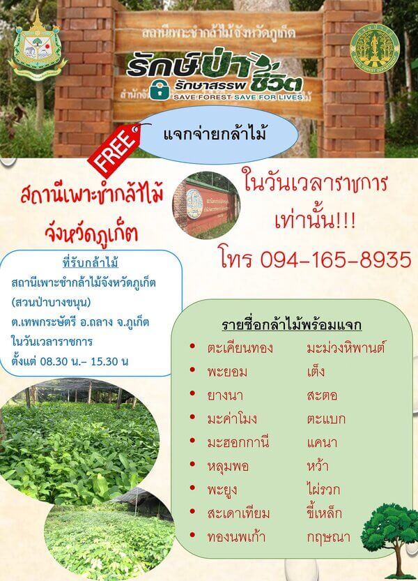 แจกกล้าพันธุ์ไม้จังหวัดภูเก็ต.jpg