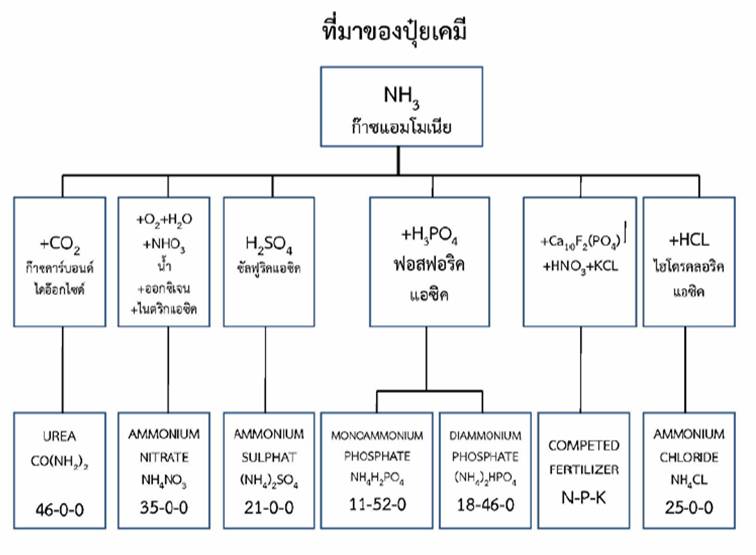 ที่มาปุ๋ย.jpg