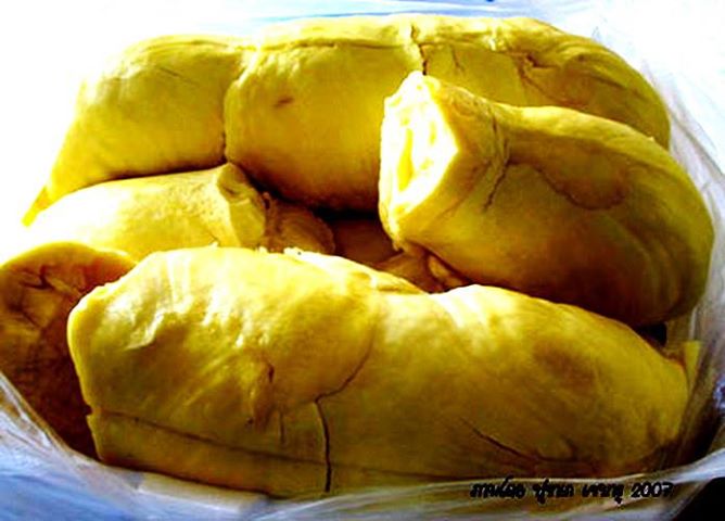 ทุเรียน.jpg