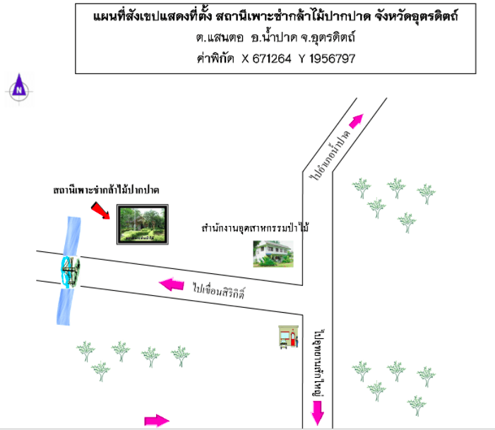 สถานีเพาะชำกล้าไม้ปากปาด จังหวัดอุตรดิตถ์.png