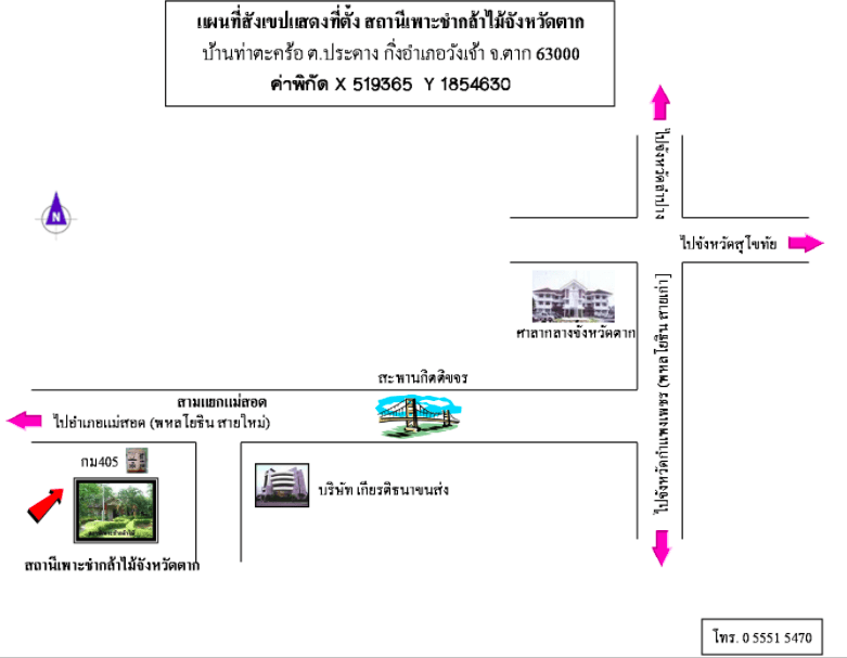 สถานีเพาะชำกล้าไม้อำเภอวังเจ้า จังหวัดตาก.png