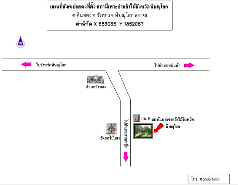 สถานีเพาะชำกล้าไม้จังหวัดพิษณุโลก.png