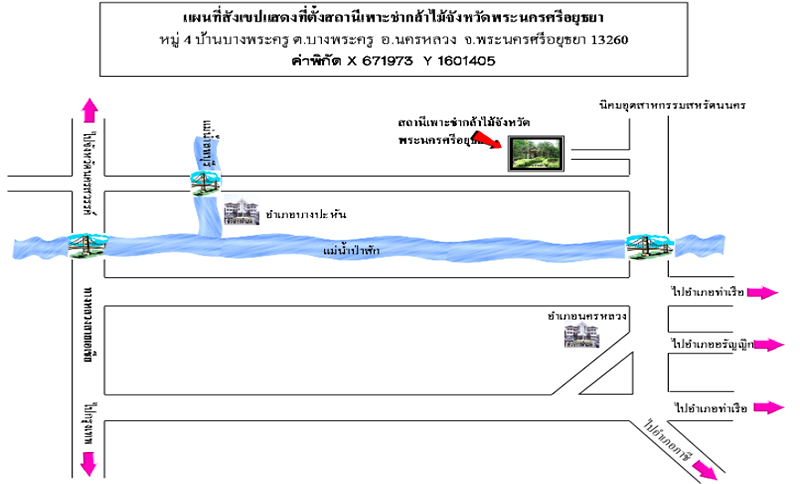 สถานีเพาะชำกล้าไม้จังหวัดพระนครศรีอยุธยา.png