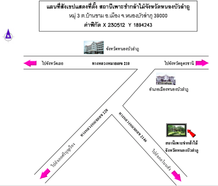 สถานีเพาะชำกล้าไม้จังหวัดหนองบัวลำภู.png