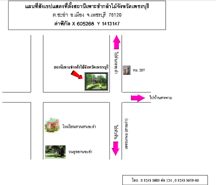 สถานีเพาะชำกล้าไม้จังหวัดเพชรบุรี.png