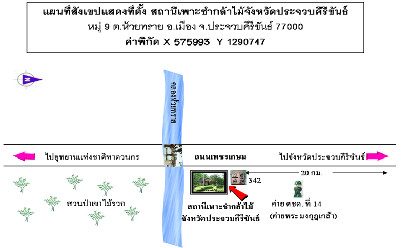 สถานีเพาะชำกล้าไม้จังหวัดประจวบคีรีขันธ์.png