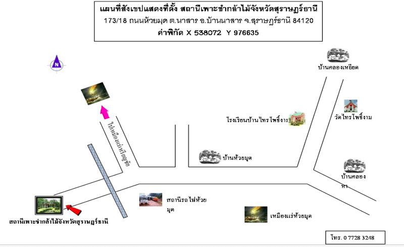 สถานีเพาะชำกล้าไม้จังหวัดสุราษฏร์ธานี.png