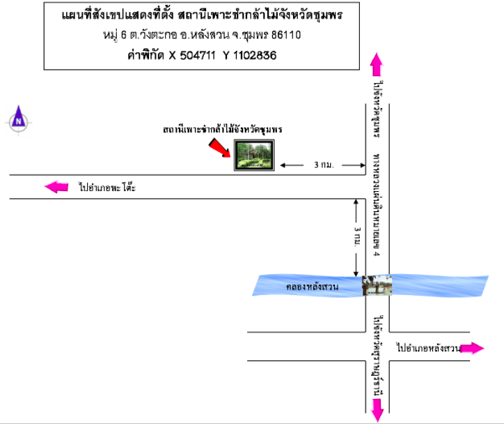 สถานีเพาะชำกล้าไม้จังหวัดชุมพร.png