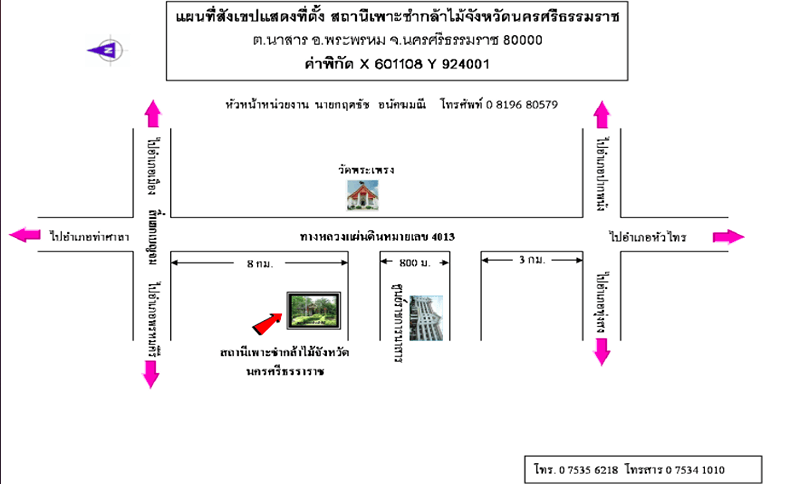 สถานีเพาะชำกล้าไม้จังหวัดนครศรีธรรมราช.png