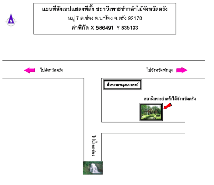 สถานีเพาะชำกล้าไม้จังหวัดตรัง.png