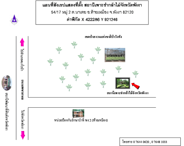 สถานีเพาะชำกล้าไม้จังหวัดพังงา.png